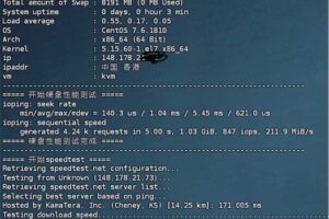 系统信息和I/O性能测试