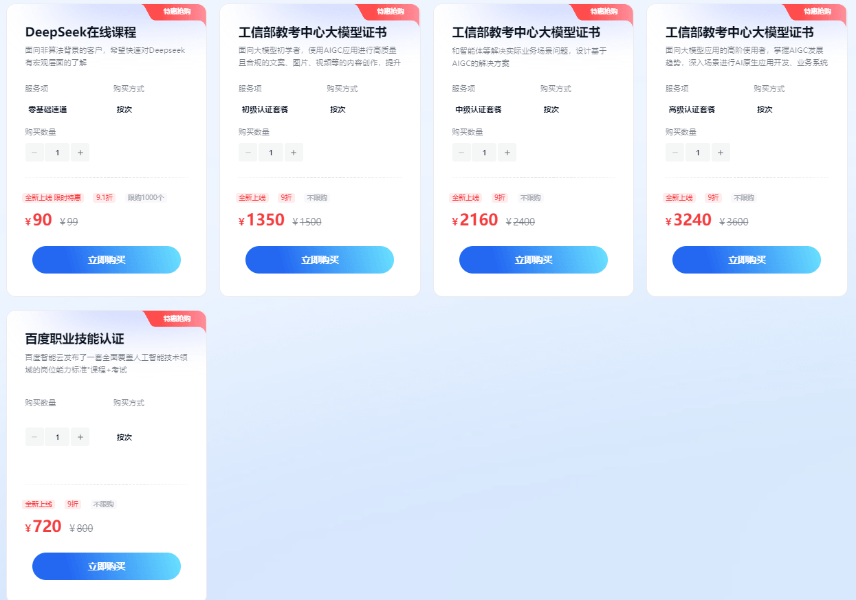 大模型增值服务