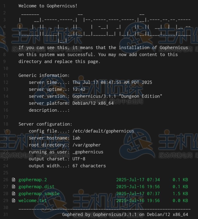 测试Gopher服务器