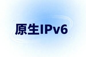 丽萨主机LisaHost VPS接入免费原生IPv6