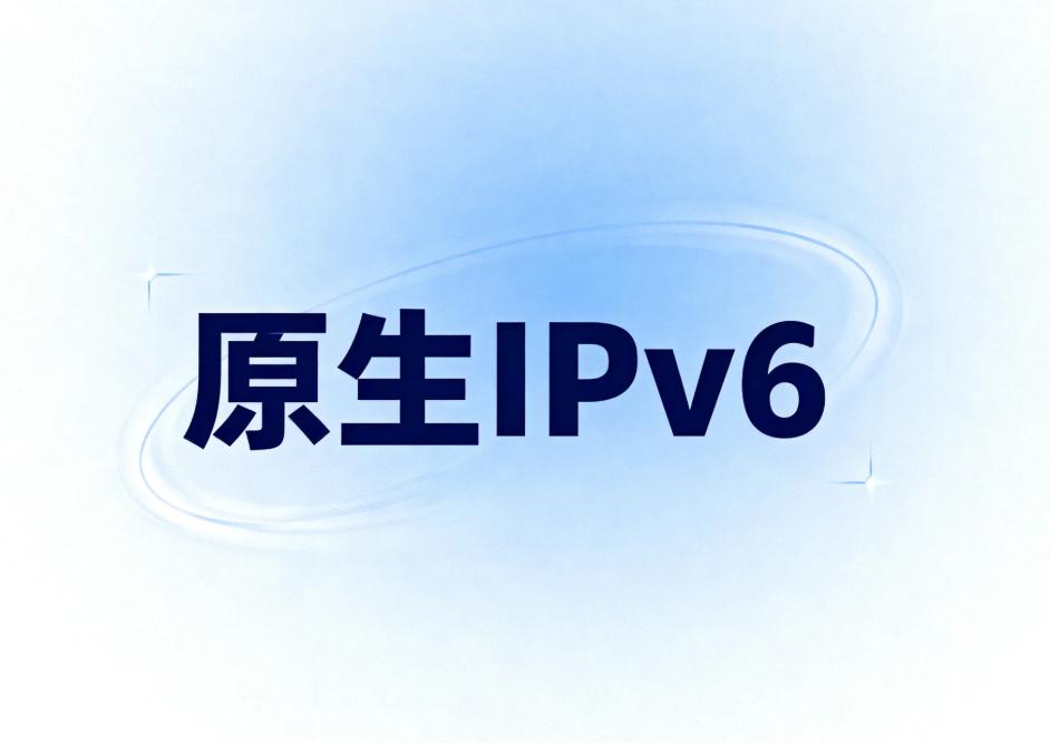 丽萨主机LisaHost VPS接入免费原生IPv6