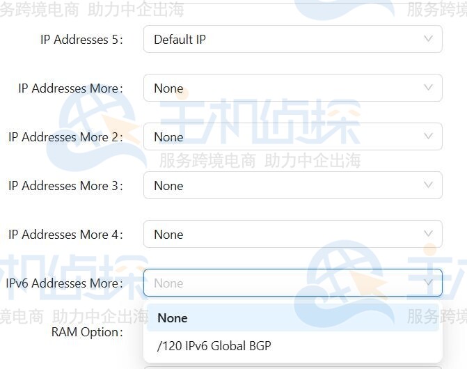RAKsmart法兰克福独服10G大带宽产品增加IPv6选项