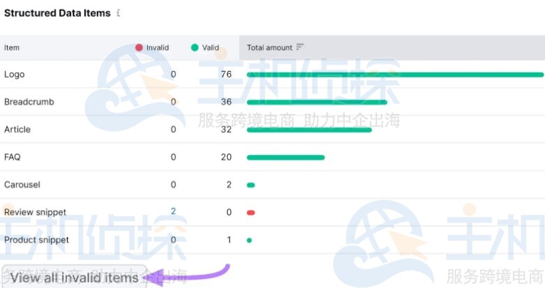 单击查看所有无效项目按钮