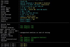RAKsmart马来西亚裸机云服务器硬件性能