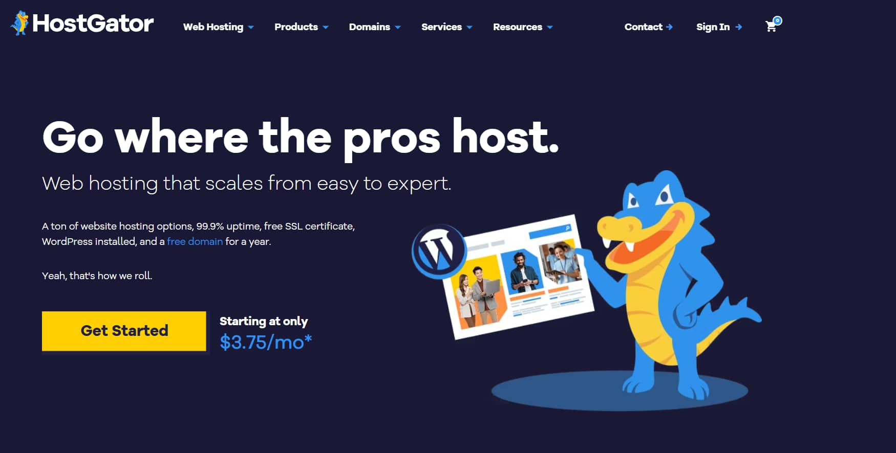 登录HostGator账户