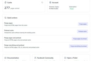 FlyingPress仪表盘（Dashboard）设置指南