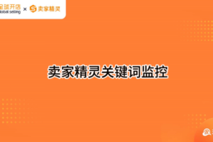 卖家精灵关键词监控功能