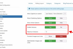 使内容版本控制