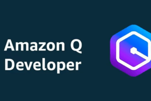 Amazon Q Developer CLI
