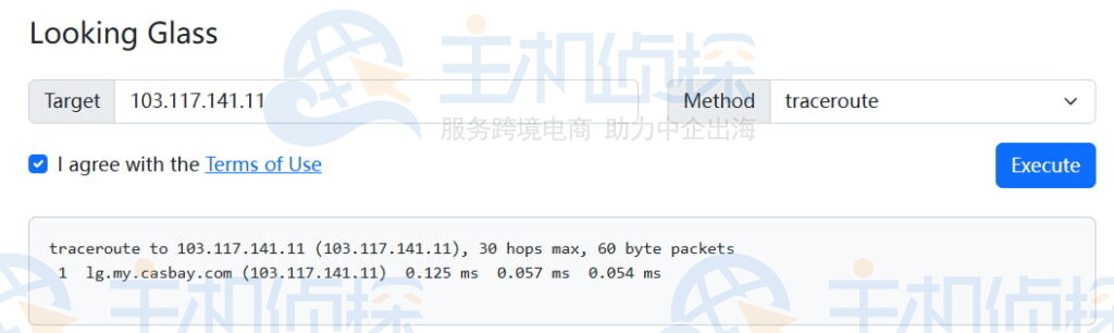 Casbay服务器traceroute测试