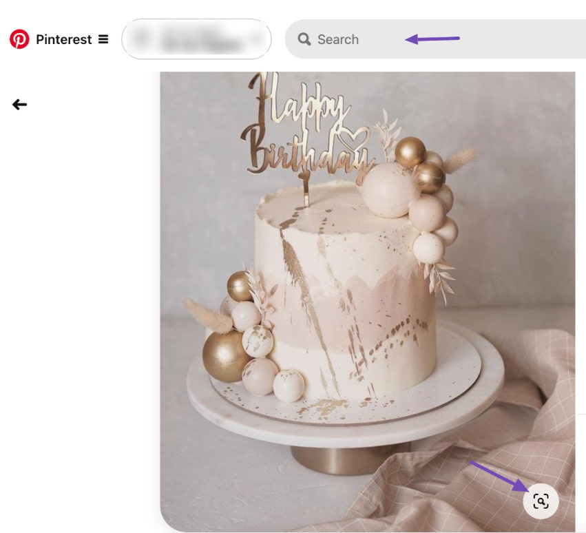 Pinterest图片搜索