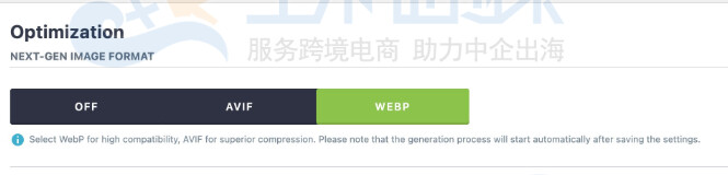 下一代图像格式设置