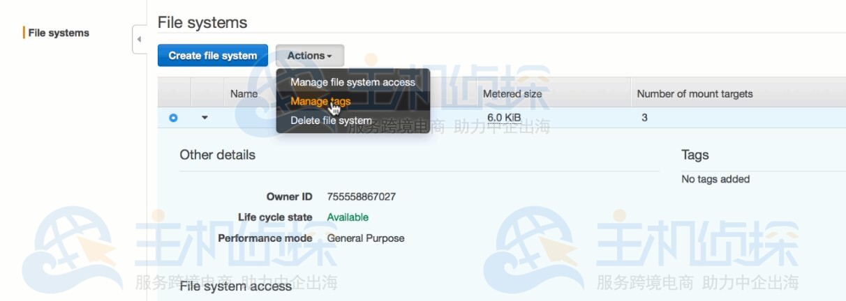 从Amazon EFS控制台删除文件系统