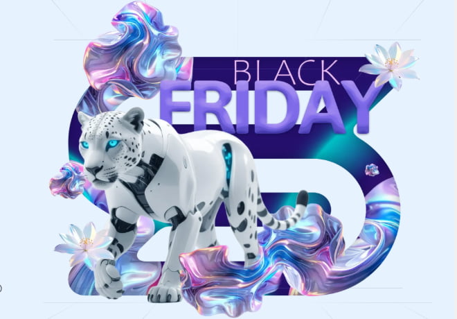 ScalaHosting黑五促销