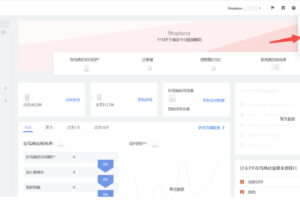 Shoplazza管理后台