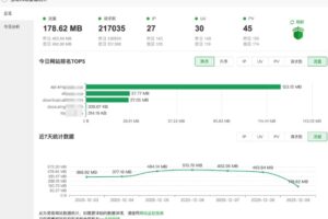 宝塔网站基础统计