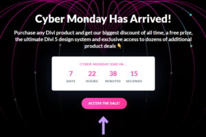 Divi WordPress主题网一促销