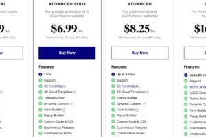 Elementor Pro插件年付价格