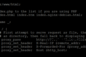 配置Nginx反向代理