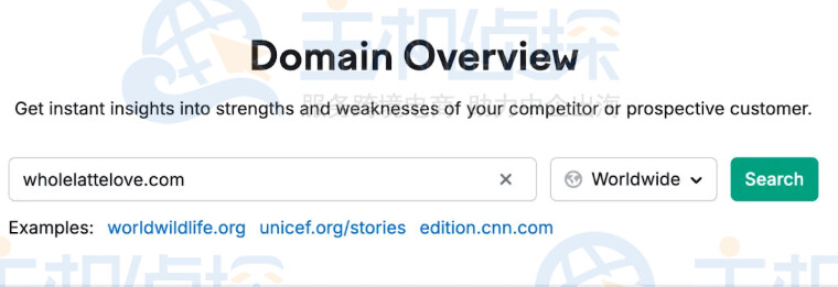 在主搜索栏输入竞争对手的域名