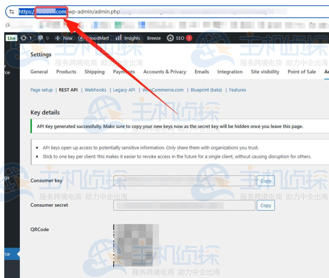 复制链接中红框中的信息