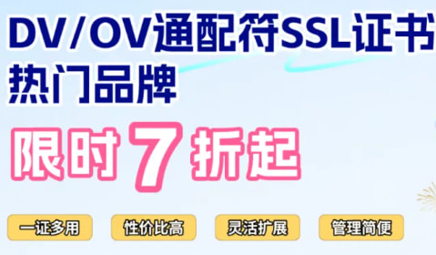 DV/OV通配符SSL证书双旦7折优惠