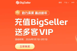 BigSeller新年优惠
