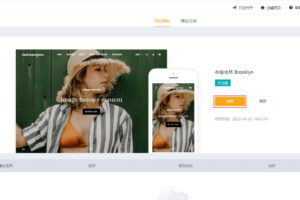 Shopyy自建站教程