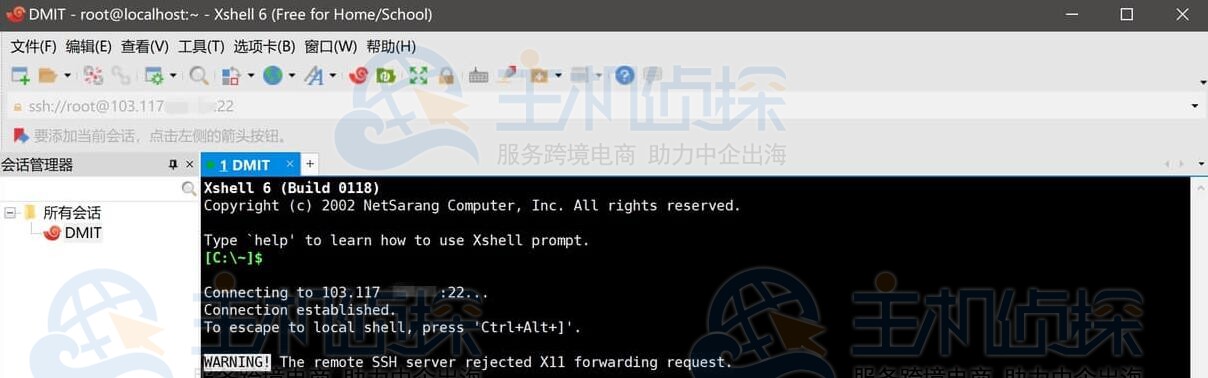 已成功登录DMIT VPS