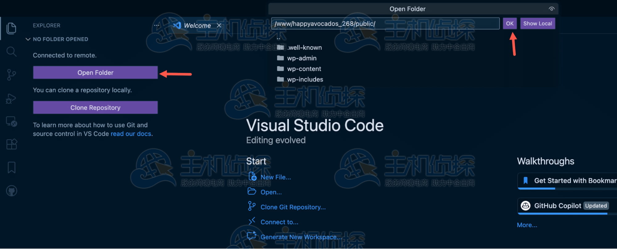 Kinsta上的WordPress站点