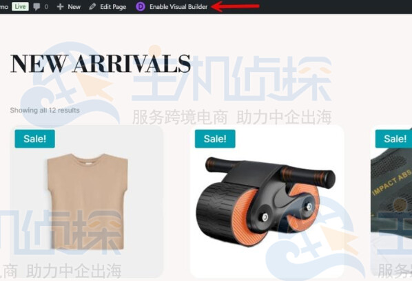 启用Divi可视化构建器