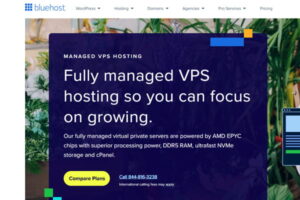BlueHost