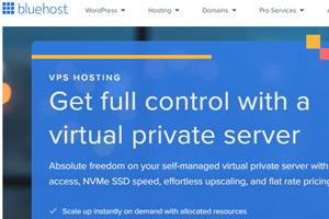 BlueHost