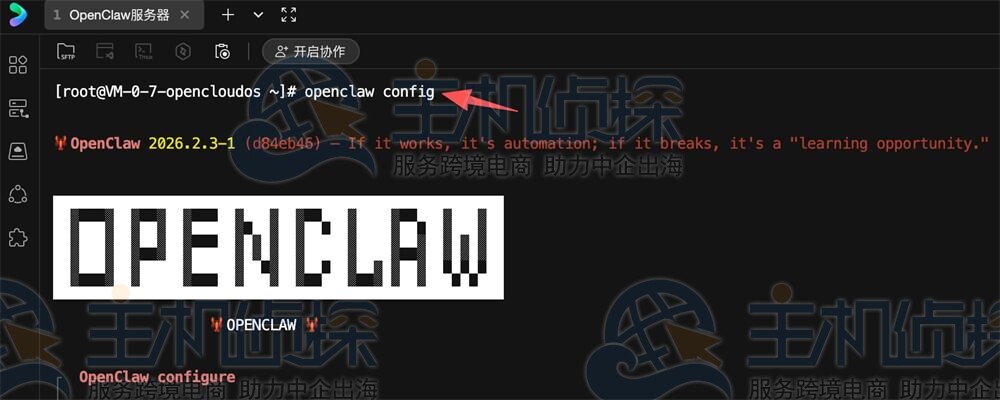 OpenClaw初始化引导