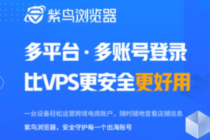 紫鸟浏览器多少钱一个月