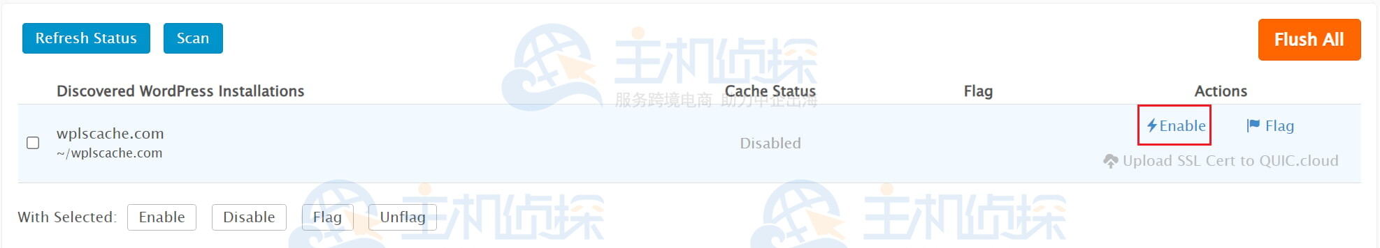 Discovered WordPress Installations