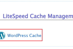 WordPress Cache