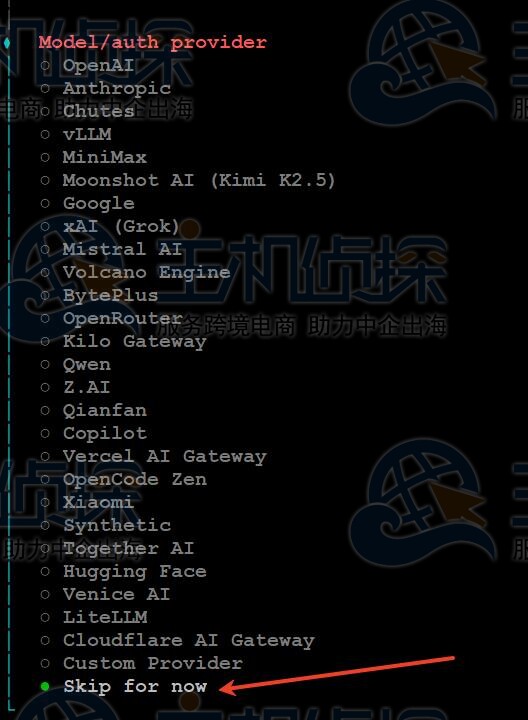选择模型厂商（Provider）