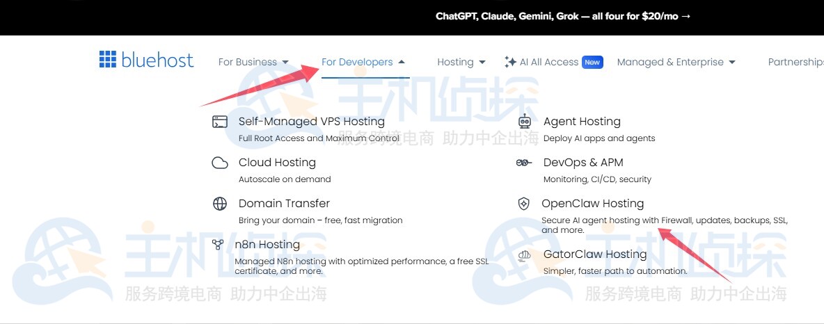 BlueHost