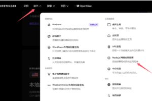 购买Hostinger Node.js主机