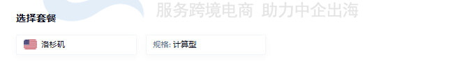 配置VMRack美国云服务器