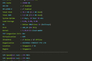 CPU