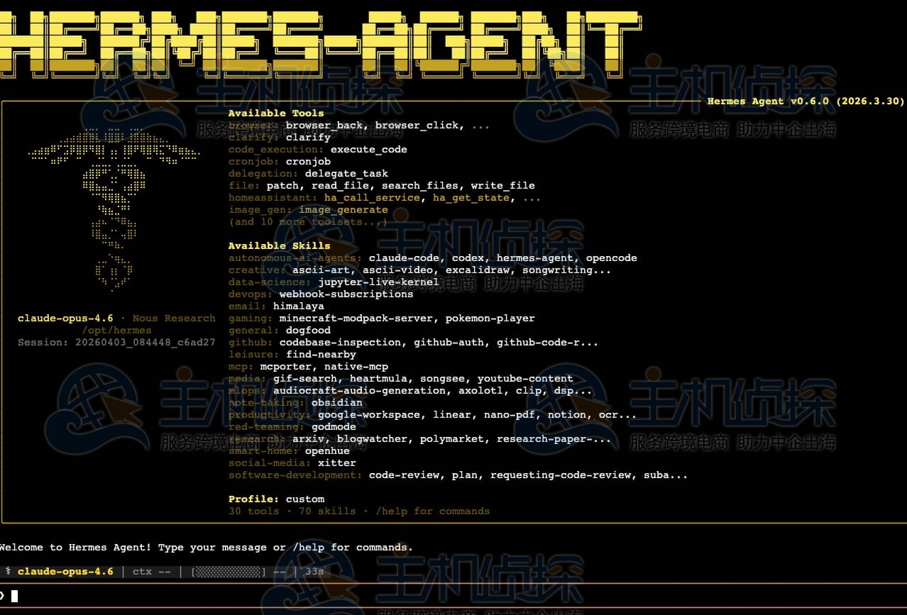 访问Hermes Agent