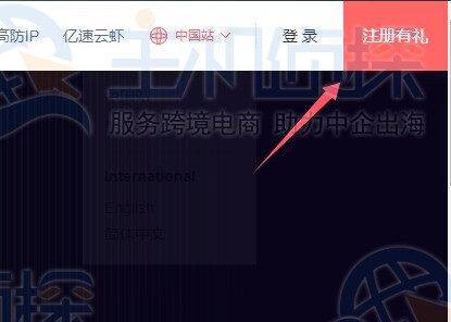 购买亿速云香港云服务器