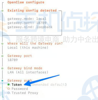 Auth选择Token