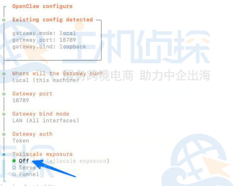 Tailscale保持关闭