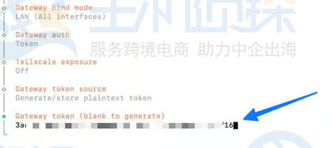 现有的令牌