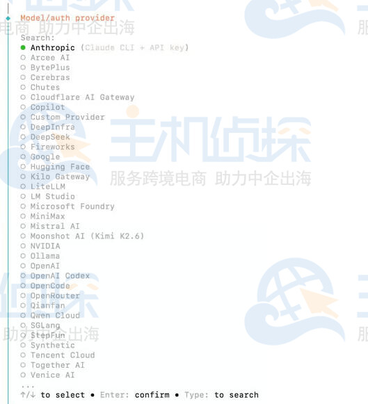 登录Anthropic控制台