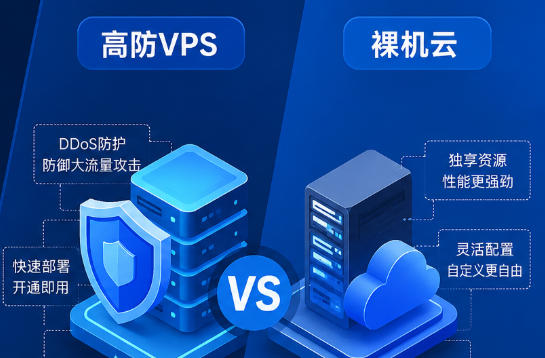 RakSmart高防VPS和裸机云