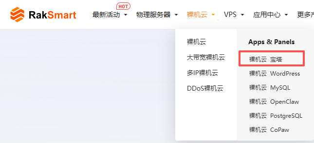 访问RakSmart官网